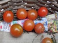 a-tomato-8517