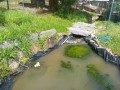 Digital Camera