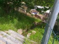 Digital Camera
