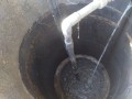 IMG_20250501_084345