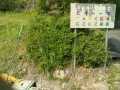 IMG_20250501_084357