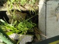IMG_20250501_084406