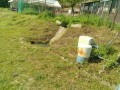 IMG_20250501_084512