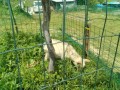 IMG_20250501_123202