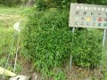 IMG_20250510_071122