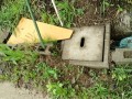 IMG_20250510_071127