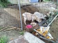 IMG_20250510_071517