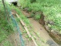 IMG_20250510_071520