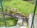 IMG_20250510_071543