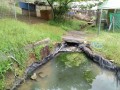 IMG_20250510_071556