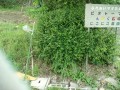 IMG_20250517_165658