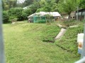 IMG_20250517_165727