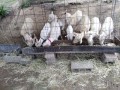 IMG_20250517_170323