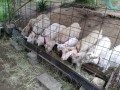 IMG_20250517_170328