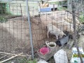 IMG_20250517_170404