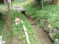 IMG_20250517_170406