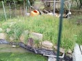 IMG_20250517_170432