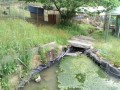 IMG_20250517_170445