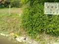 IMG_20250521_085046