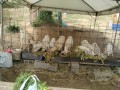 IMG_20250521_085420