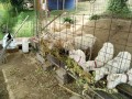 IMG_20250521_085428