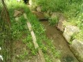 IMG_20250521_085446