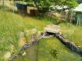 IMG_20250521_085518