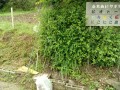 IMG_20250522_084333
