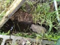 IMG_20250522_084346