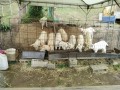 IMG_20250522_084901