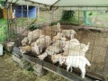 IMG_20250522_084910