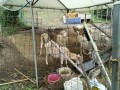 IMG_20250522_084934