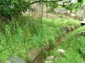 IMG_20250522_085002