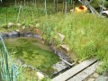 IMG_20250522_085008