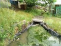 IMG_20250522_085032