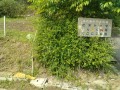 IMG_20250523_092141