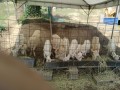 IMG_20250523_092819