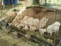 IMG_20250523_092837