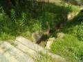 IMG_20250523_092925