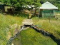 IMG_20250523_092940