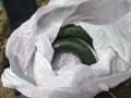 IMG_20250523_114541