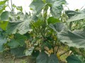 IMG_20250523_114544