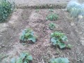 IMG_20250523_114718