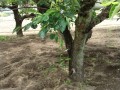 IMG_20250523_115825