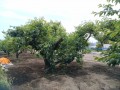 IMG_20250523_115837