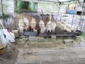 IMG_20250524_093614