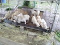 IMG_20250524_093623