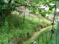IMG_20250524_093713