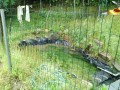 IMG_20250524_093716