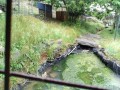 IMG_20250524_093740